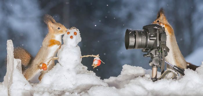 10 Tips for Photographing Squirrels by iPhotography.com