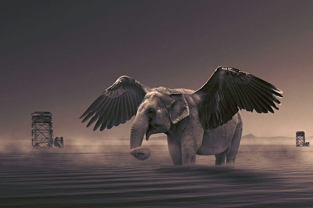 Elephant-Surreal-Scene-After