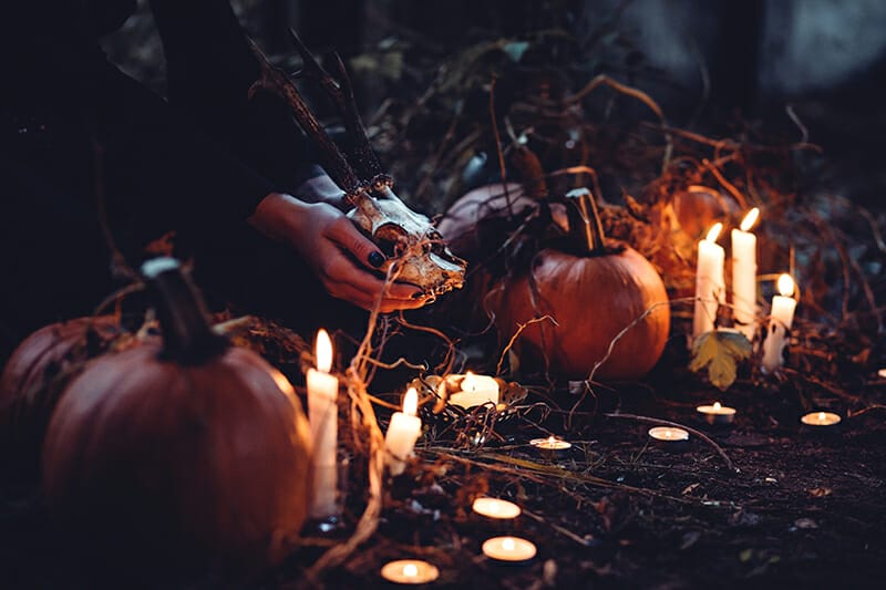 Halloween: The Most Popular Holiday – The Torch