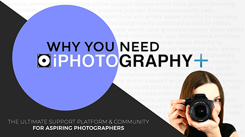 iPhotography+ iPhotography Plus community features