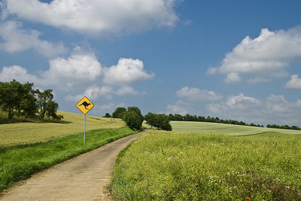 Landscape Photography: The Complete Beginner's Introduction