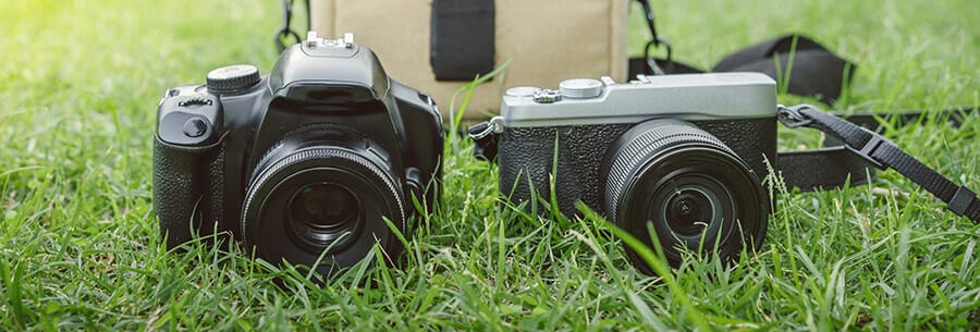 what camera is best iphotography mirrorless v DSLR cameras on grass