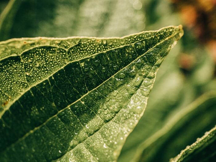 Mengapa Perlengkapan Kamera yang Mahal Tidak masalah dengan iPhotography.com