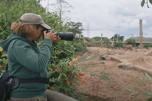 Wildlife Photography Course by iPhotography.com