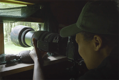 rachel sinclair bird hide photography tips iphotography