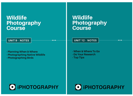 wildlife photography course module notes