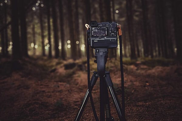 Woodland Photography Tips by iPhotography.com