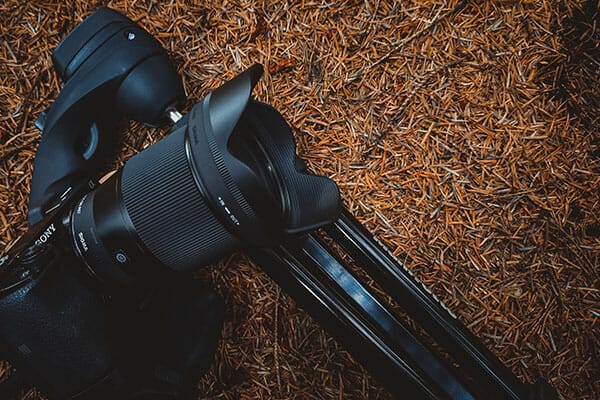 Woodland Photography Tips 2 Woodland Photography Sony Camera with 16mm wide lens