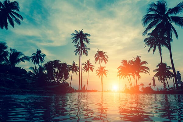  pool at sunset with palm trees
