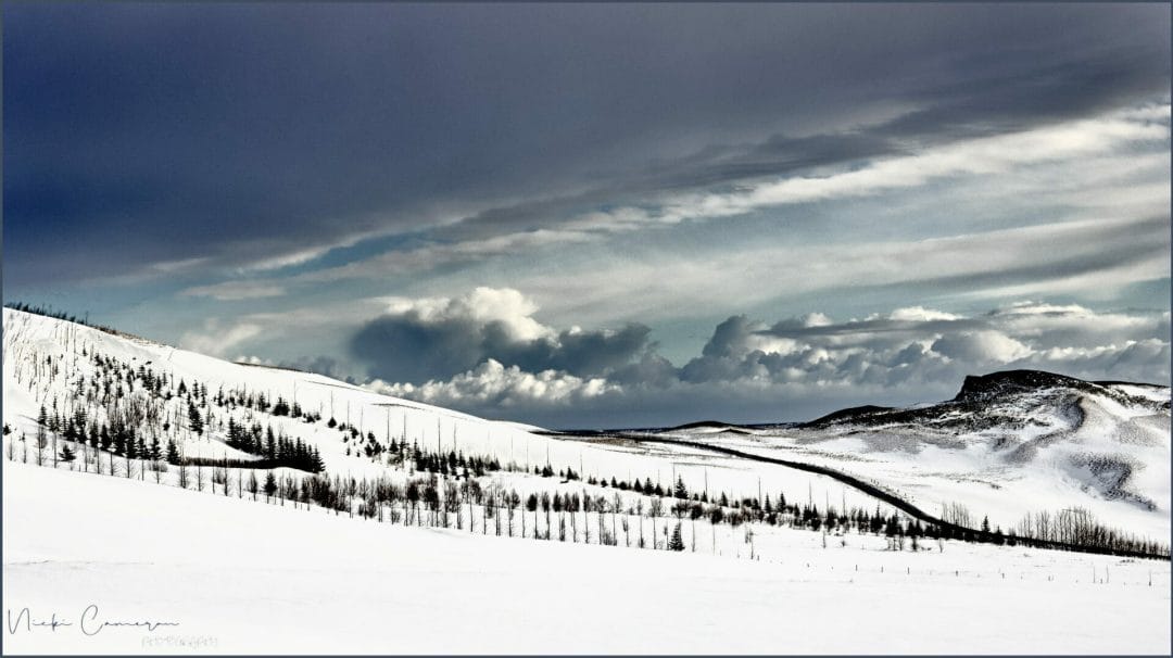 2 December 2020 Top 10 Photos