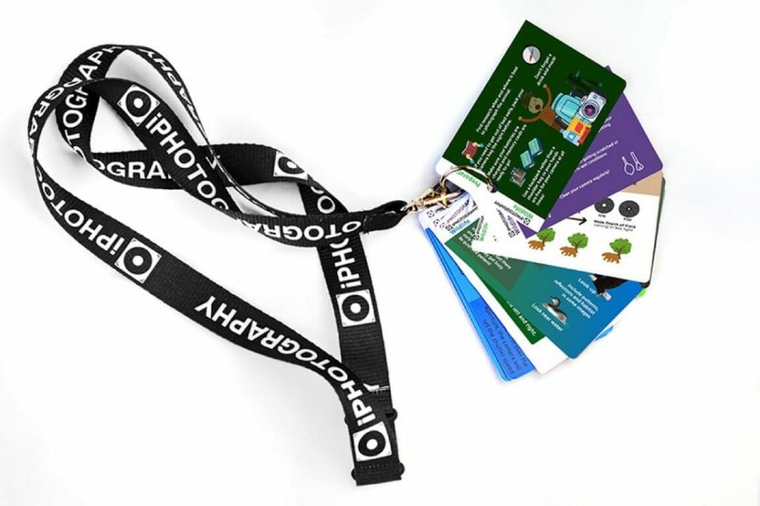Wildlife Flip Card Product Shot 2 web