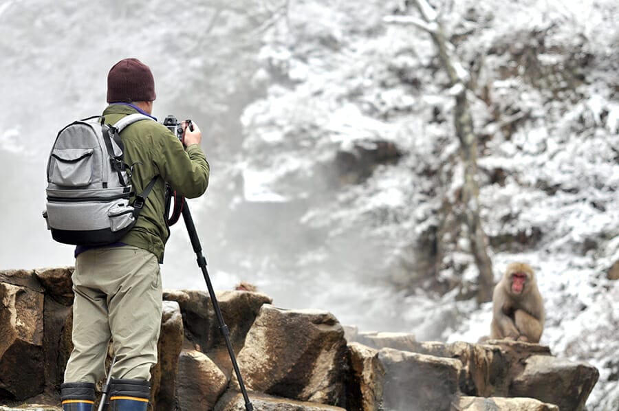 Photographer taking a picture of a Baboon in the snow