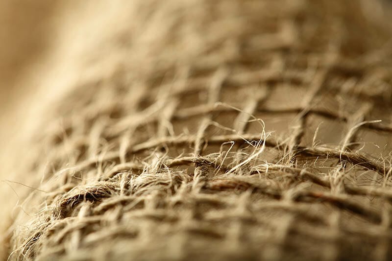 macro photography image 12 macro photography image 12