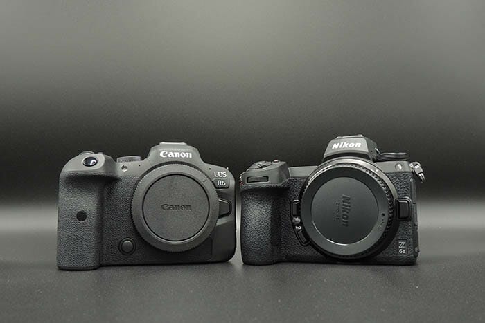 Canon v Nikon camera comparison image iPhotography Course
