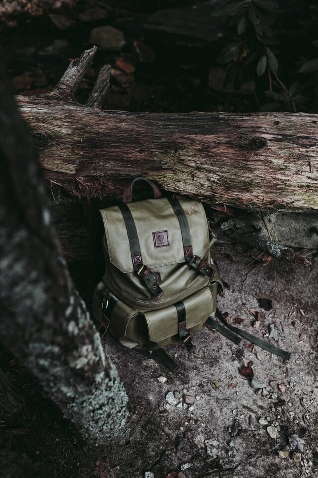 how to do product photography Camera bag next to a fallen tree trunk muted green colour