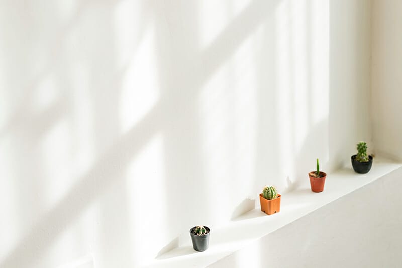 Clean,,White,Indoor,Wall,With,Sunlight,Shadow,Cast,On,,Decorated minimalist photo iphotography rule of thirds example