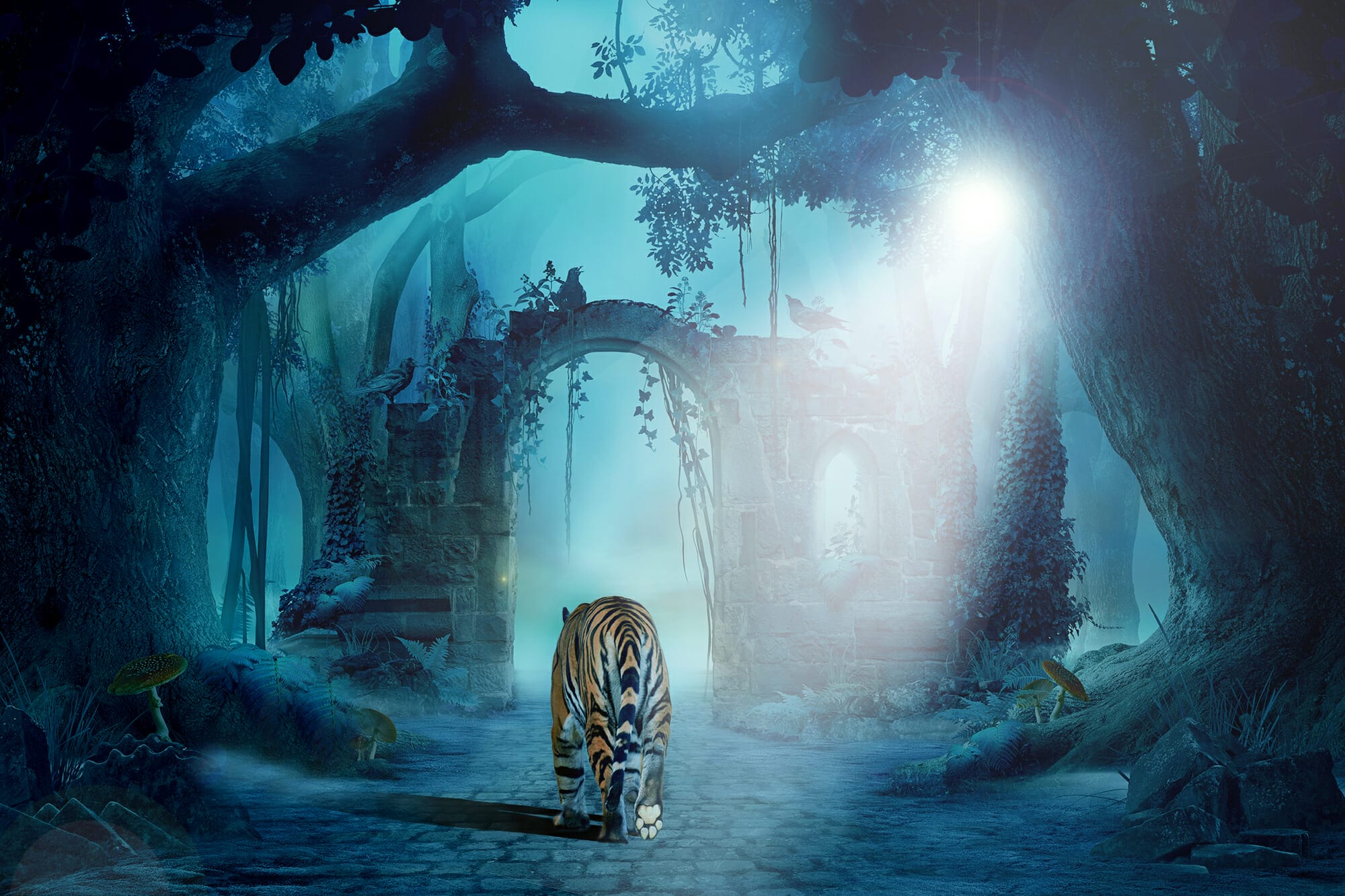 Tiger in the moonlight in a forest