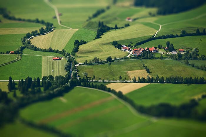 Using a Tilt-Shift Lens in Food Photography - Image Examples