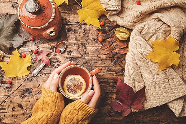 Fall Photography: 5 Inspiring Tips for Photographers in Autumn Weather