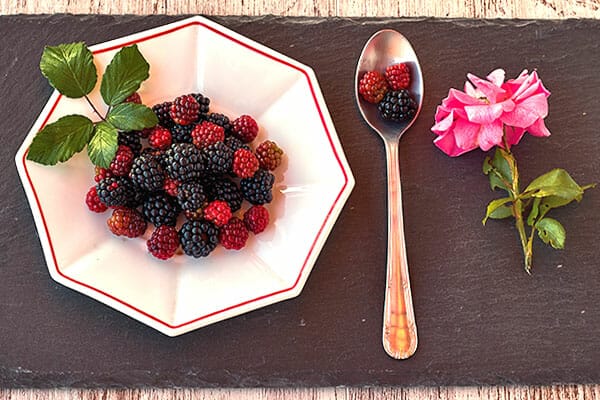 Dish of wild blackberries, with teaspoon and pink rose