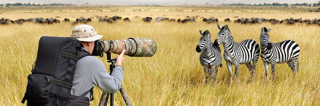 Wildlife Photography Tips