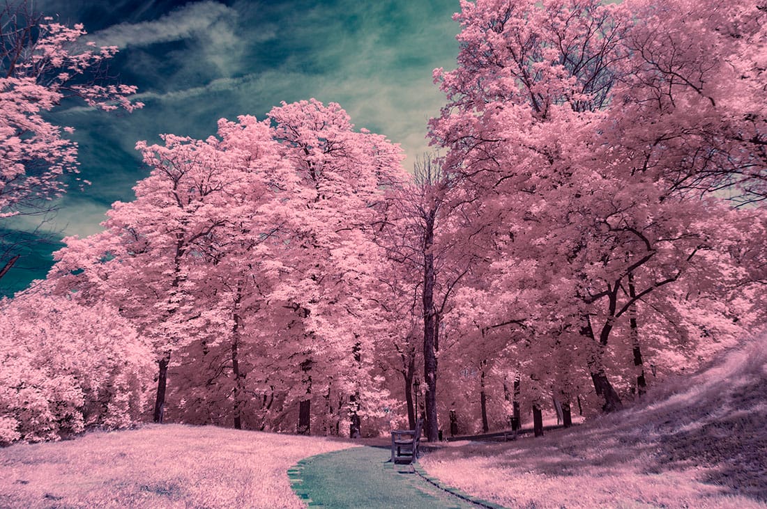 Infrared Photography Tutorial
