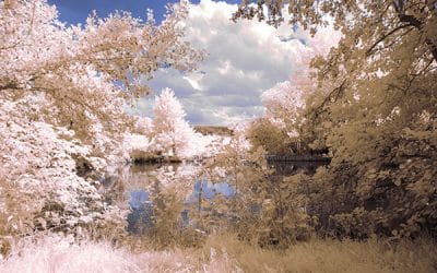 Infrared Photography Guide to Camera Settings & IR Filters
