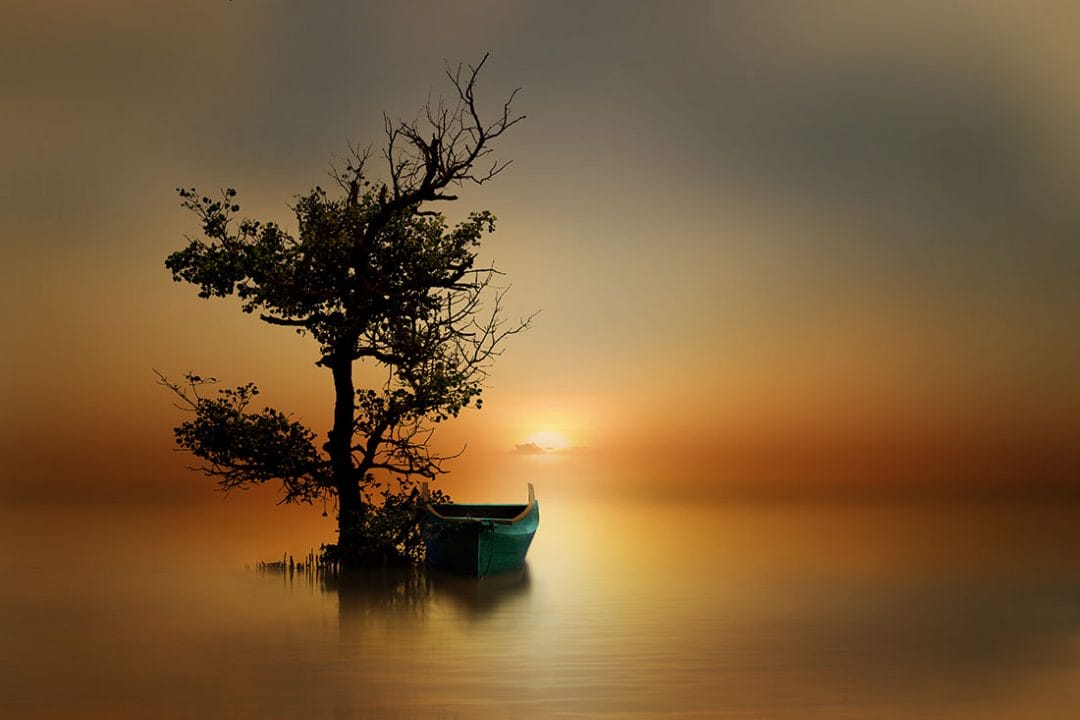 A,Small,Boat,Parked,Under,A,Mangrove,Tree,At,The Fine Art Photography Tutorial