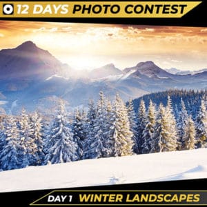Day 1 Winter Landscapes Christmas Competition 2021