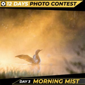 Day 3 Morning Mist Christmas Competition 2021