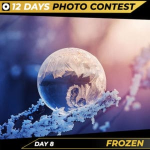 Day 8 Frozen Christmas Competition 2021