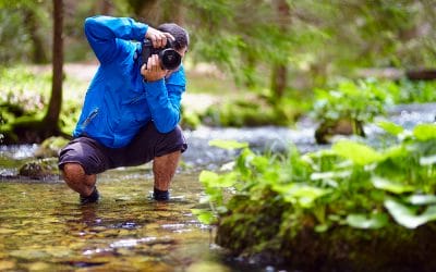 10 Nature Photography Tips
