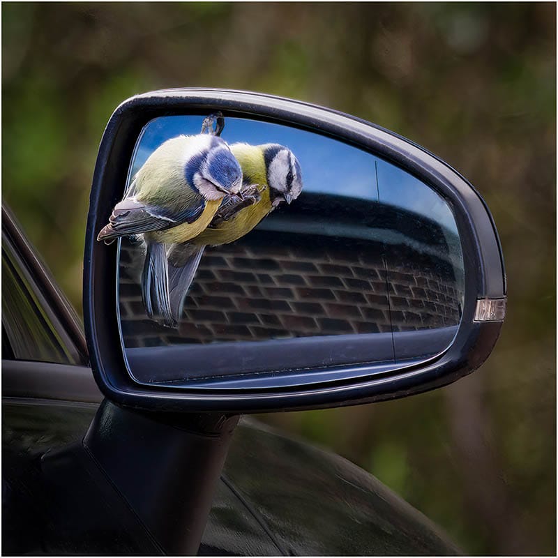 2 Top 10 Photo of the Month December 2021 iPhotography