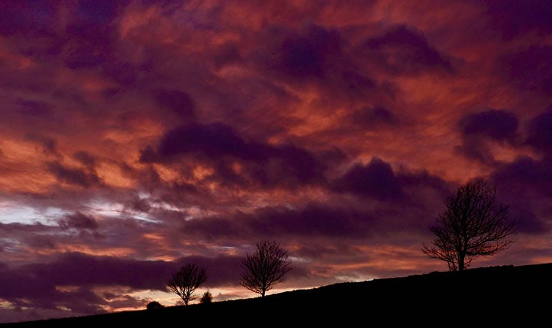 10 Top 10 Photo of the Month December 2021 iPhotography