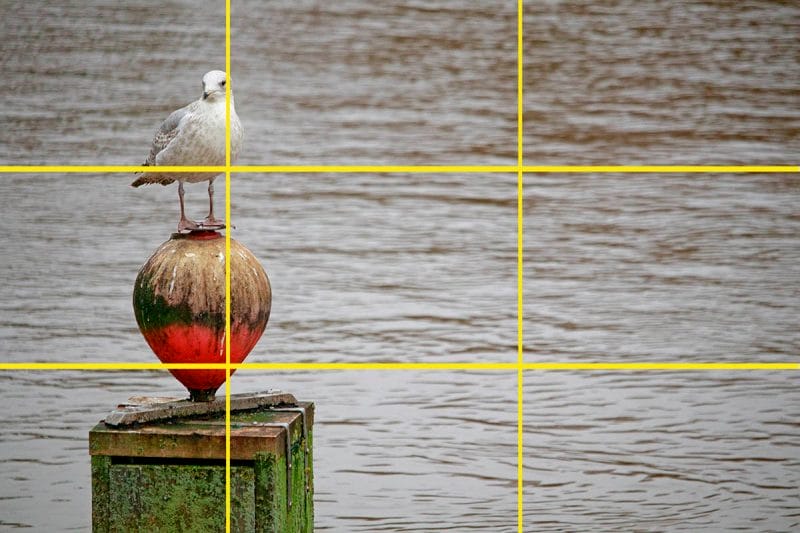 Rule of Thirds Photography Composition