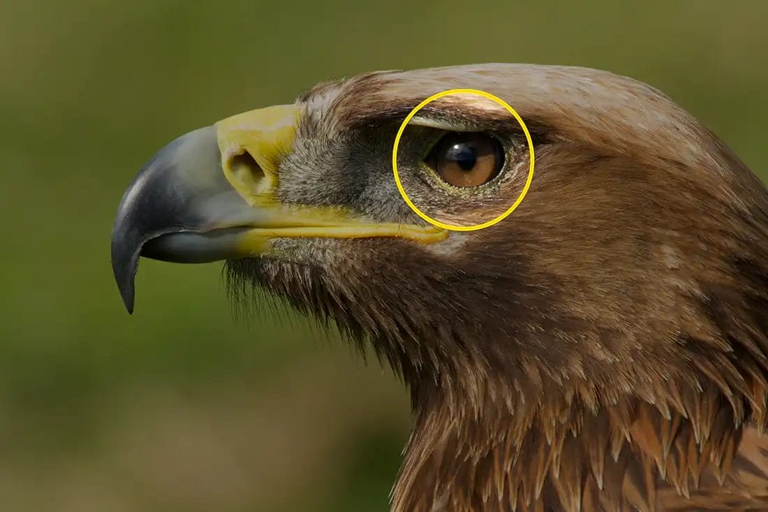 Glossary of Photography Lighting Terms (AZ for Beginners)