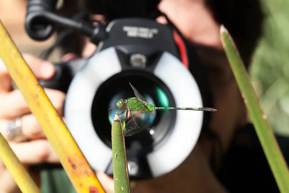 Glossary of Photography Lighting Terms (AZ for Beginners)