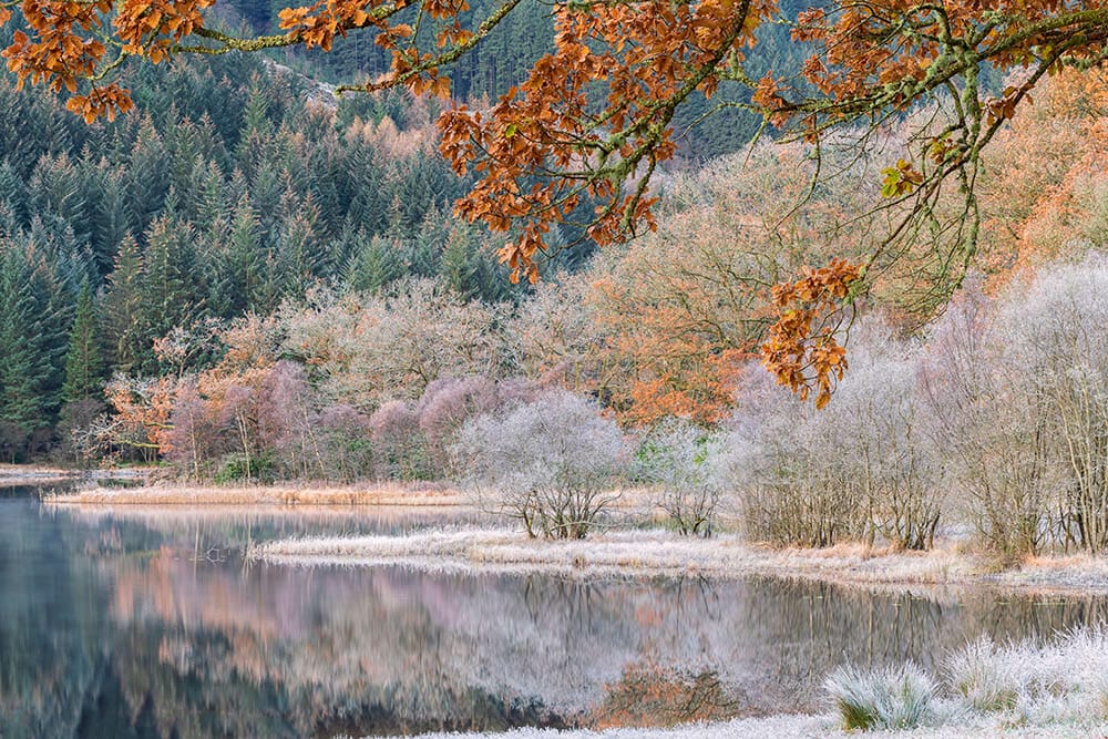 A frosty cold morning for sunrise at Loch Ard, Scotland. Autumn leaves and trees in orange and white colour with frost and still reflections on the water