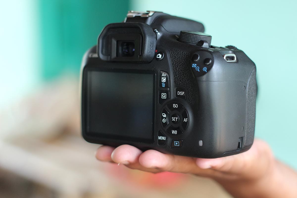 The best Canon DSLR cameras for beginners and advanced users