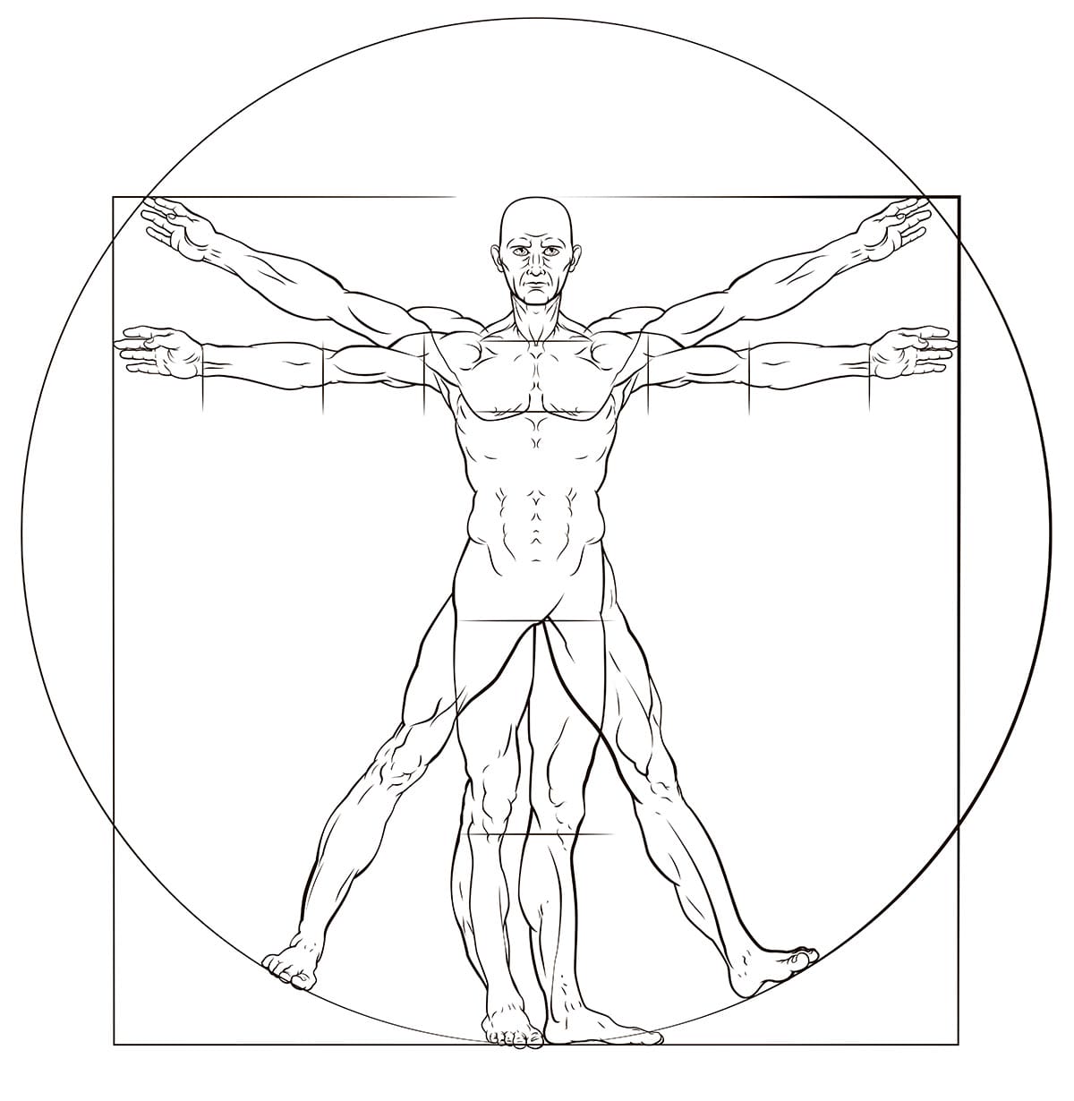 A human figure like Leonard Da Vinci s Vitruvian man anatomy illustration