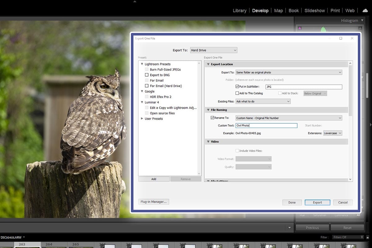 The Best Export Settings In Adobe Lightroom For Photographers The Best Export Settings In Adobe Lightroom For Photographers