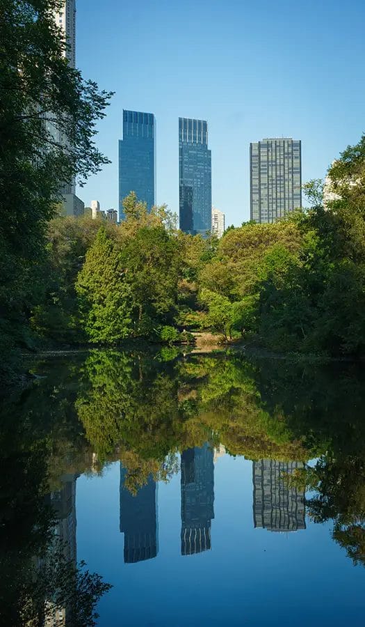 Central Park Photography Tips Blog 1
