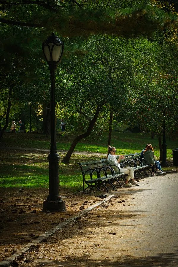 Central Park Photography Tips Blog 14