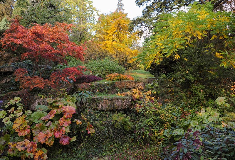 Autumnal Scene in Batsford Arboretum near Moreton in Marsh in the Cotswolds, Gloucestershire, England, UK