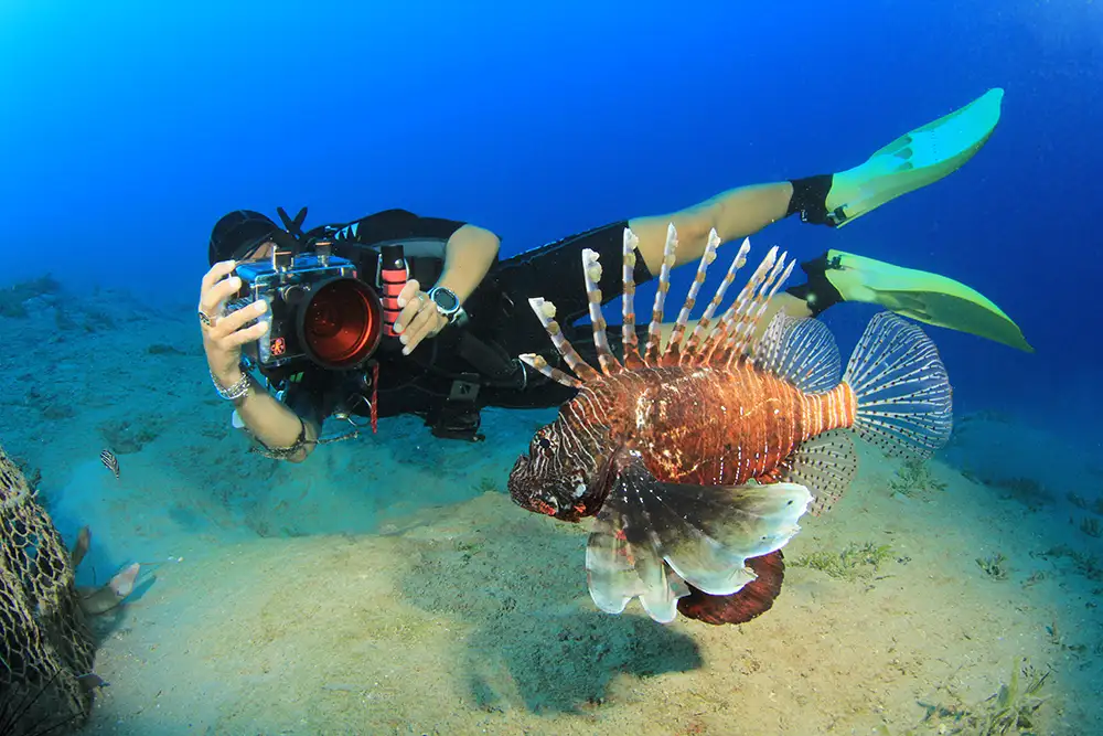 A person in full scuba diving gear taking a photo of a fish with underwater camera in the Ocean