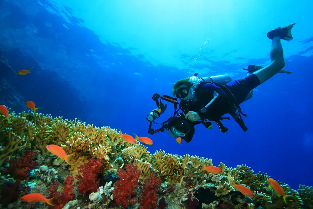 a man in scuba gear holding a camera in underwater housing taking photos of a coral reef