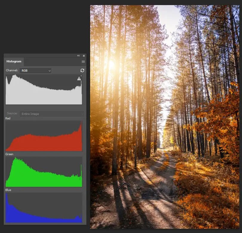 a forest scene with strong sunlight next to a graphic of a histogram