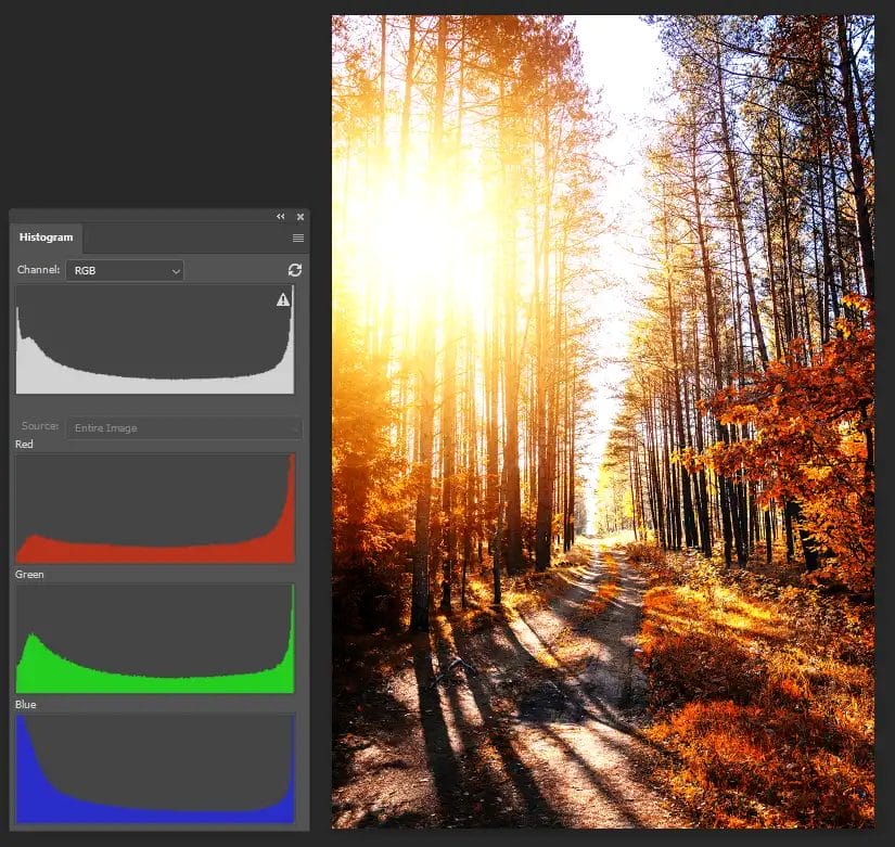 a forest scene with strong sunlight next to a graphic of a histogram